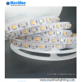 SMD5050 RGBW cuatro en una luz de tira flexible del LED